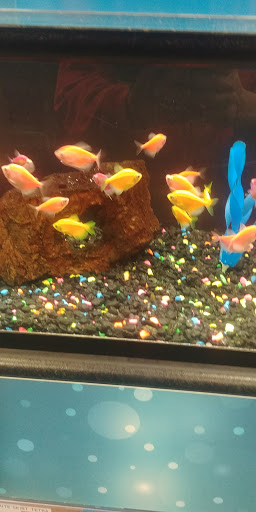 Pet Supply Store «Petco Animal Supplies», reviews and photos, 8775 SW Tualatin-Sherwood Rd, Tualatin, OR 97062, USA