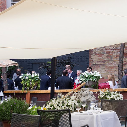 Weddings among vineyards in Toronto