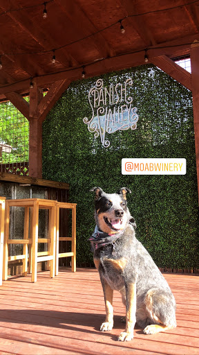 Winery «Spanish Valley Vineyard & Winery», reviews and photos, 4710 Zimmerman Ln, Moab, UT 84532, USA
