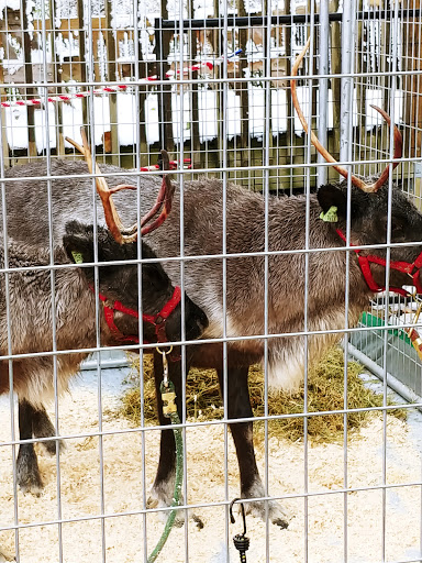 Produce Market «Welsh Heritage Farms», reviews and photos, 20758 528th Ave, Lake Crystal, MN 56055, USA