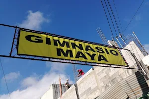 Gimnasio Maya image