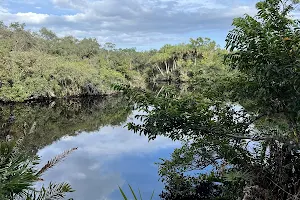 Halpatiokee MTB Trail image