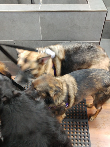 Pet Store «Pet Valu», reviews and photos, 1301 W Skippack Pike, Blue Bell, PA 19422, USA