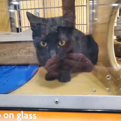 Pet Supply Store «PetSmart», reviews and photos, 2901 Texas Sage Trail, Fort Worth, TX 76177, USA