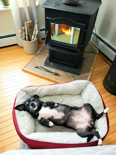 Auto Insurance Agency «Sig Insurance Agencies: Cheshire», reviews and photos