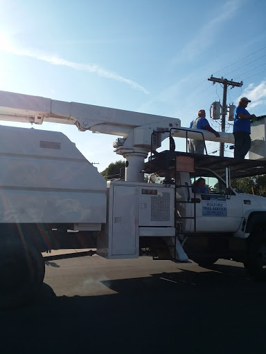 Discount Store «Dollar General», reviews and photos, 123 S West St, Tipton, IN 46072, USA