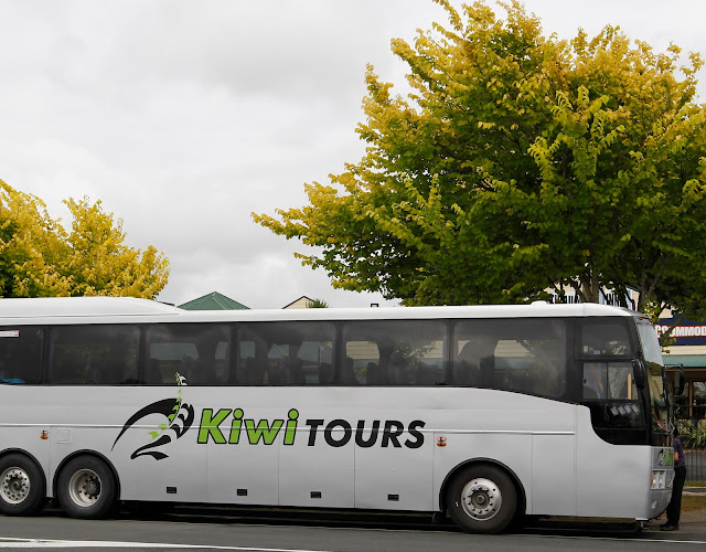 Reviews of Kiwi Tours Ltd in New Plymouth - Travel Agency