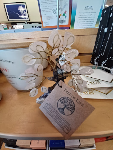 Book Store «Books-A-Million», reviews and photos, 1700 W International Speedway Blvd, Daytona Beach, FL 32114, USA