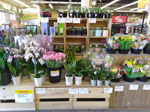 Grocery Store «Fresh Thyme Farmers Market- Troy MI», reviews and photos, 901 E Big Beaver Rd, Troy, MI 48083, USA