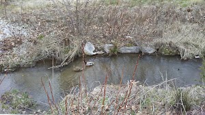 Edwards Island Park - photo 22