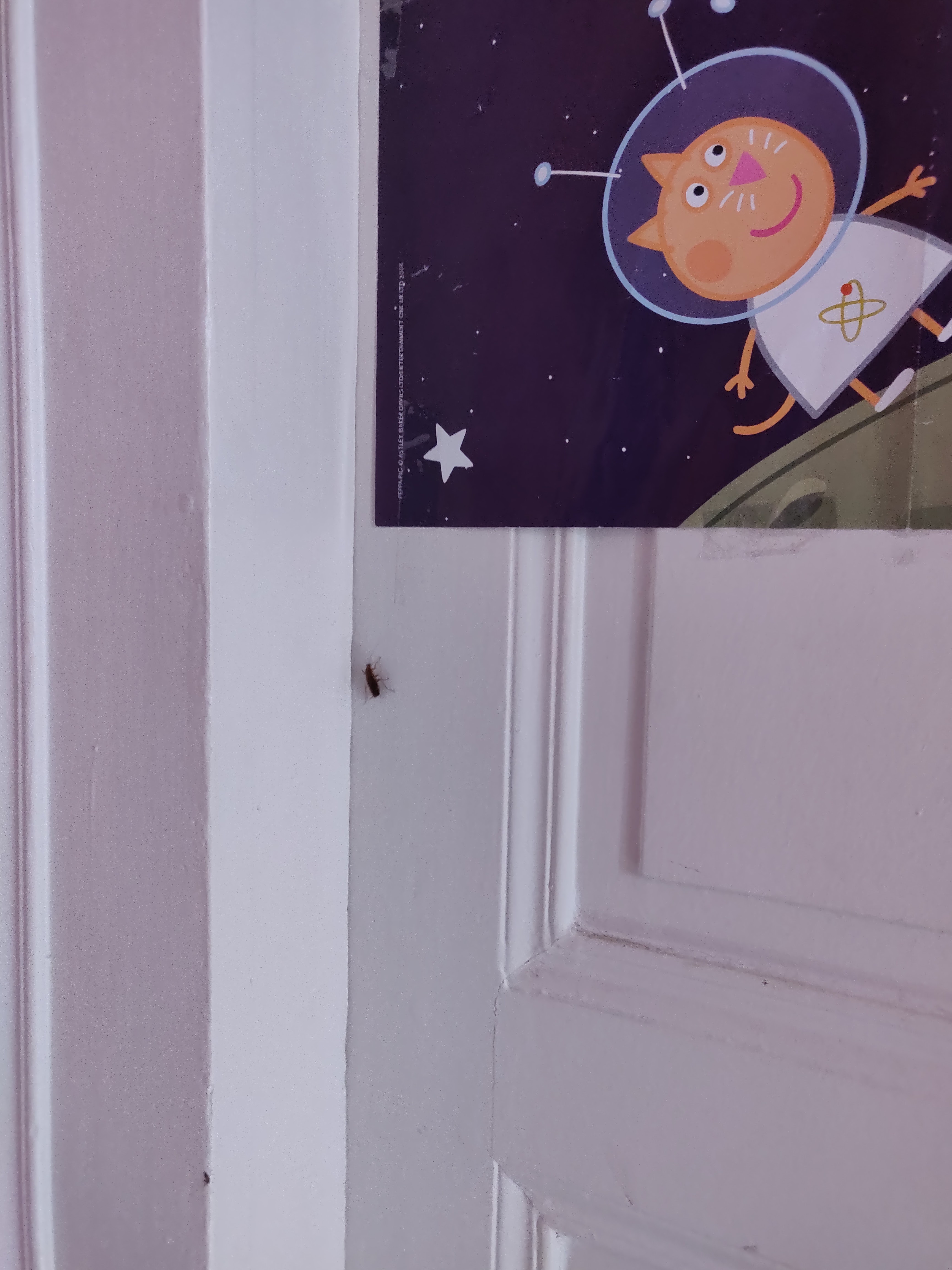 Photo n° 4 de l'avis de adrien.a fait le 08/09/2018 à 15:32