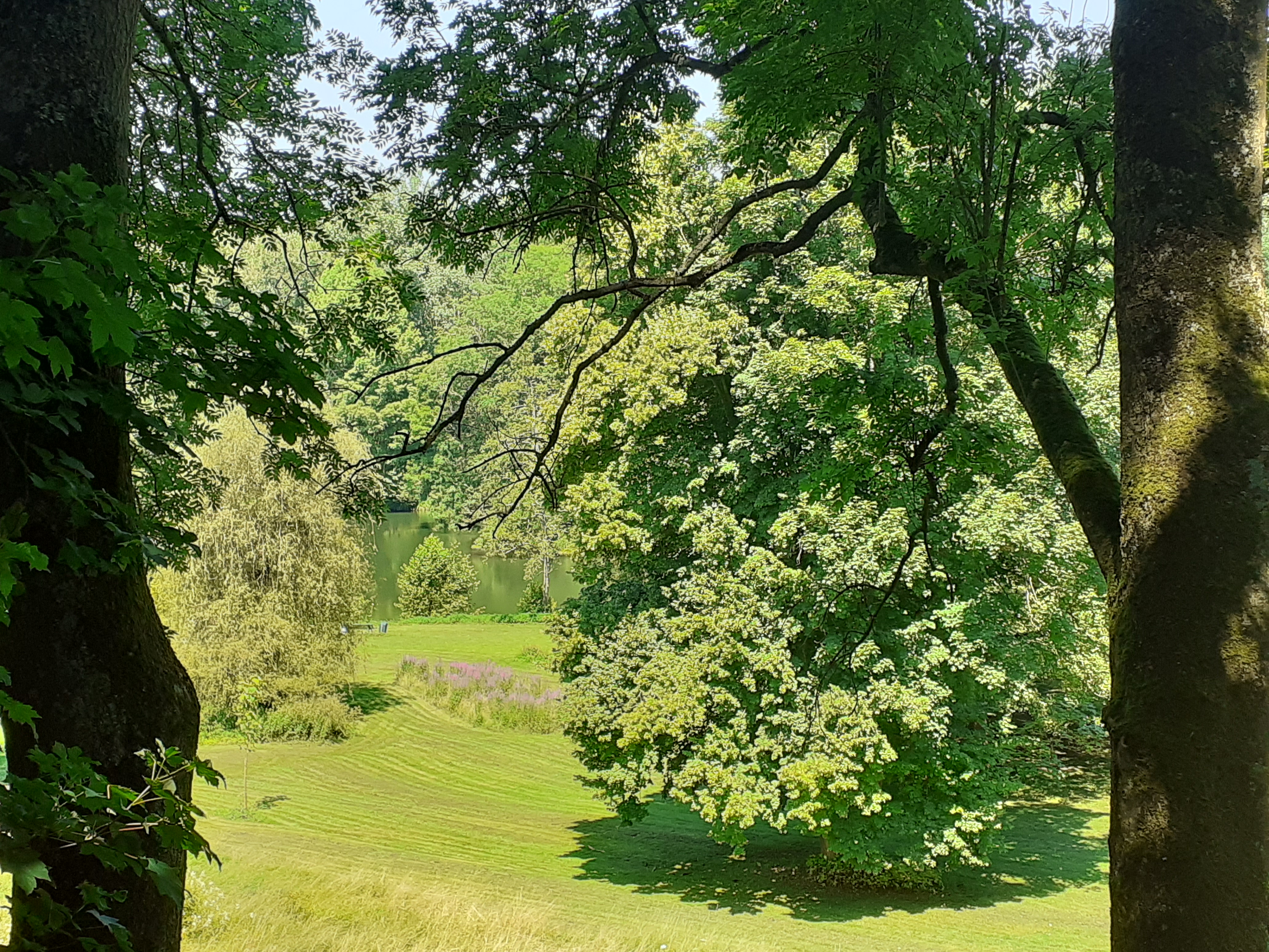 Photo n° 2 de l'avis de JCAL.a fait le 20/07/2021 à 16:56