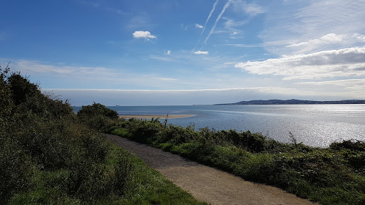 Irishtown Nature Park, Dublin