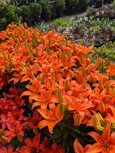 Home Improvement Store «The Home Depot», reviews and photos, 21750 Market Pl NW, Poulsbo, WA 98370, USA