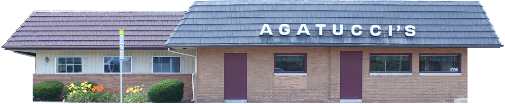 Agatucci's Restaurant 61604