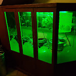 Photo n°4 de l'avis de Davide.o fait le 09/08/2018 à 19:51 sur le  Centoundici Circus à Castellanza