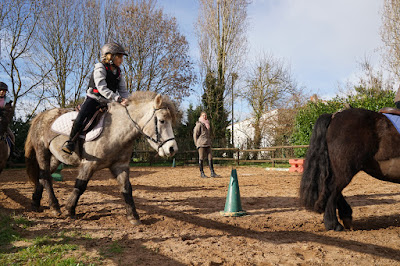 Poney Atlantic Loisirs Mireuil à Lagord