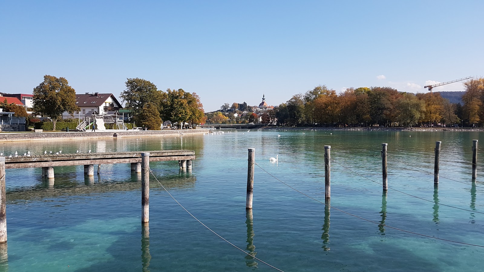 Strandbad Seewalchen photo #8