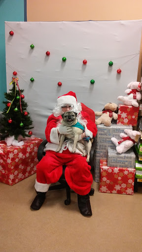 Pet Supply Store «PetSmart», reviews and photos, 1391 S Commons Dr, Myrtle Beach, SC 29588, USA