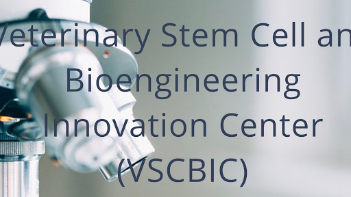 Veterinary Stem Cell and Bioengineering Innovation Center (VSCBIC)