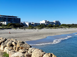 North Coogee Dog Beach'in fotoğrafı imkanlar alanı