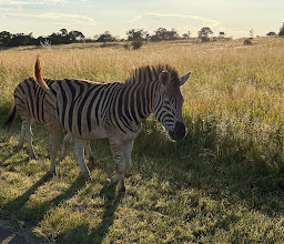 Rietvlei Nature Reserve photo