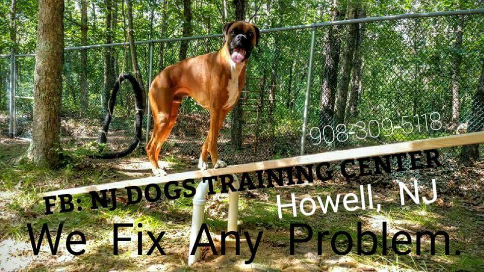 NJ DOGS Training LLC.