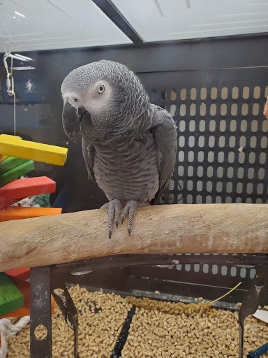 Pet Supply Store «PetSmart», reviews and photos, 3050 Middle Country Rd, Nesconset, NY 11767, USA