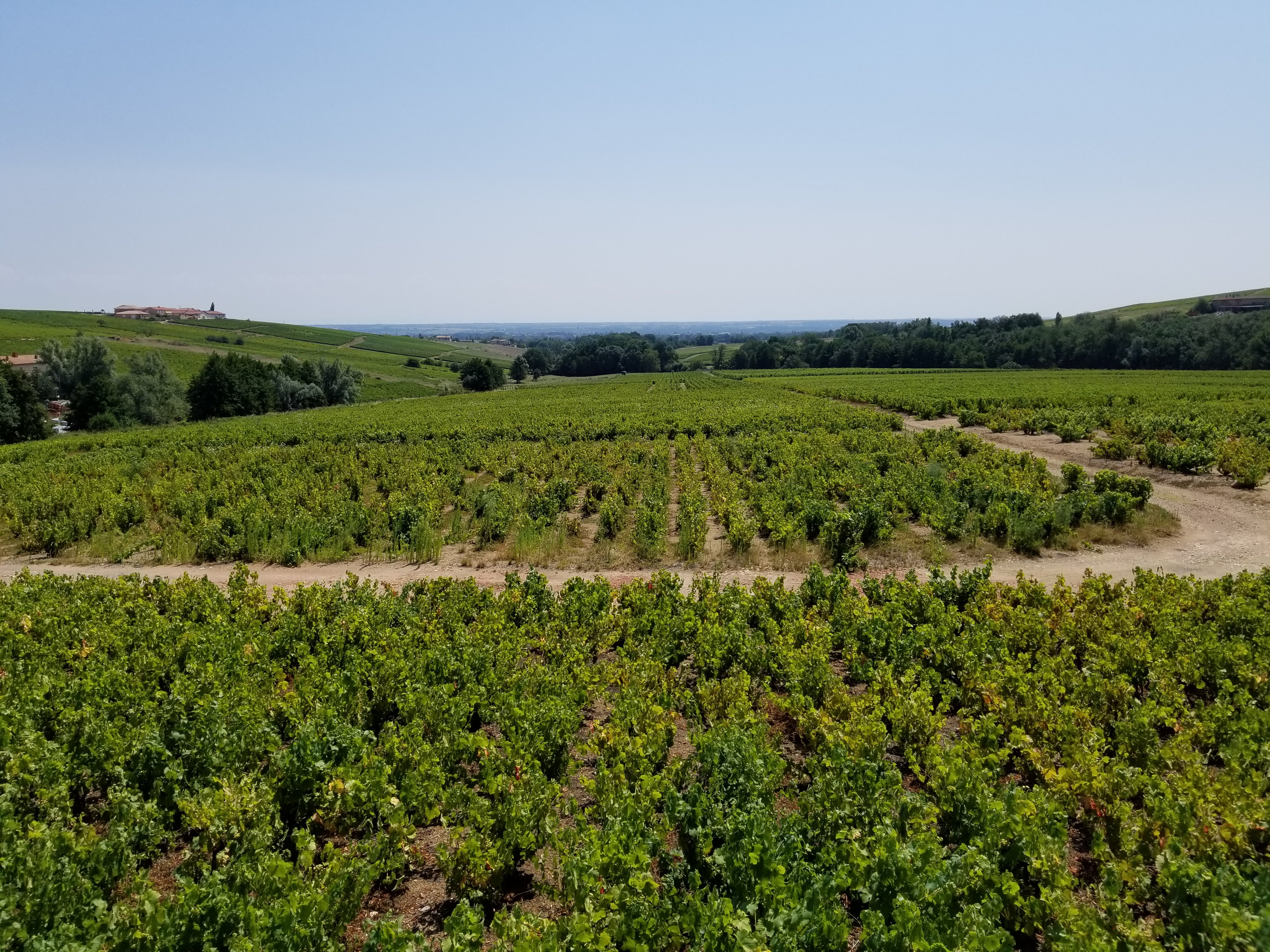 Photo n° 9 de l'avis de Pritesh.i fait le 25/07/2018 à 10:14
