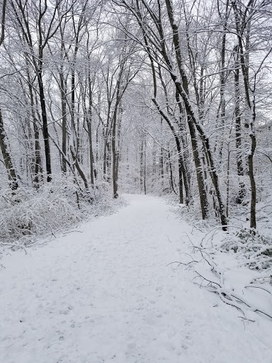 Park «East Blake Lane Park», reviews and photos, 9540 Bel Glade St, Fairfax, VA 22031, USA