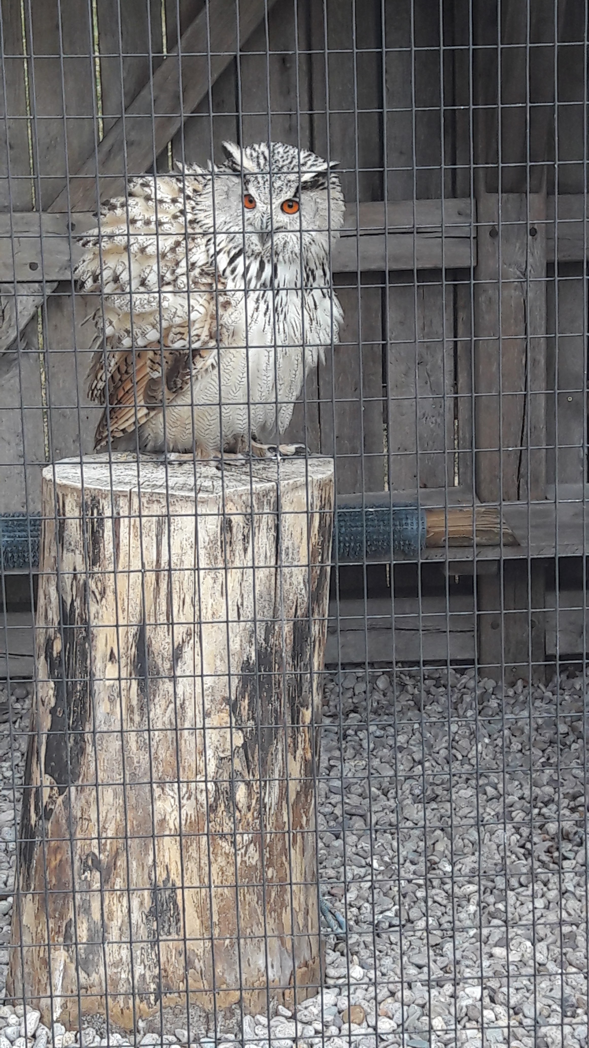 Photo n° 10 de l'avis de Lise.e fait le 14/07/2018 à 16:26
