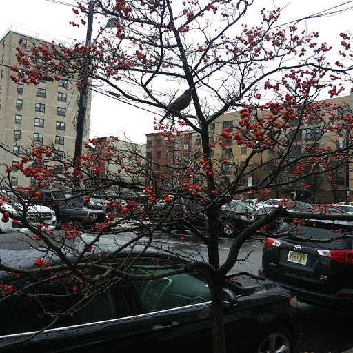 Grocery Store «ACME Markets», reviews and photos, 614 Clinton St, Hoboken, NJ 07030, USA