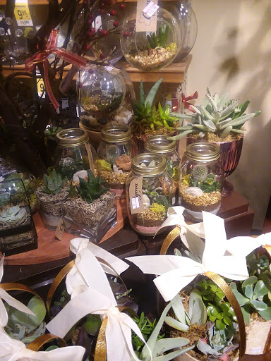 Grocery Store «Safeway», reviews and photos, 10635 Folsom Blvd, Rancho Cordova, CA 95670, USA