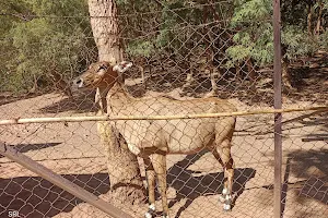 Deer Zoo, Ramtek image