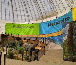 La Rodadora Espacio Interactivo photo