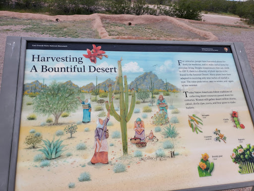 National Park «Casa Grande Ruins National Monument», reviews and photos, 1100 W Ruins Dr, Coolidge, AZ 85128, USA