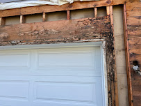 Rye Exterminators - Photo 4 - Car repair in Rye, NY, Yonkers