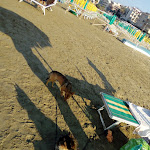 Photo n°1 de l'avis de Antonietta.e fait le 02/08/2018 à 13:52 sur le  Stabilimento Balneare Nettuno Beach à Nettuno