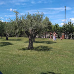 Photo n°1 de l'avis de Donato.m fait le 25/06/2018 à 11:05 sur le  Naturale Ristorante à Bellizzi