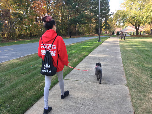 Dog walker Greensboro