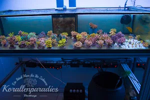 Korallenparadies Bottrop image