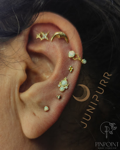 Explore small phoenix tattoo ideas, creative tattoo ideas in Twin Falls, available at Pinpoint Body Piercing