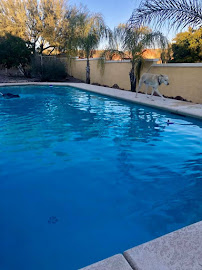 Blue Paradise Pools - Photo 3 - Car repair in , Tucson