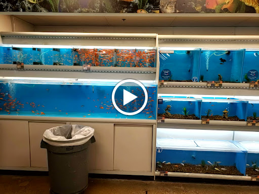 Pet Supply Store «PetSmart», reviews and photos, 2861 Veterans Memorial Pkwy, St Charles, MO 63303, USA