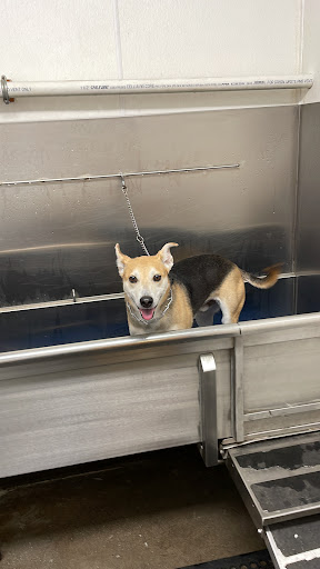 Pet Supply Store «Atlas Pet Supply», reviews and photos, 12761 Central Ave NE, Blaine, MN 55434, USA