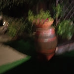 Photo n°2 de l'avis de emanuele. fait le 07/09/2022 à 20:18 sur le  Trattoria Sardella à Ancona