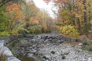 Garden of the Valley image