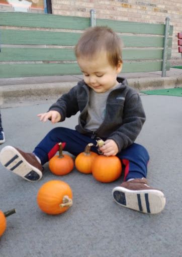 Preschool «Childrens Creative Corner Inc», reviews and photos, 2793 Maple Ave, Lisle, IL 60532, USA