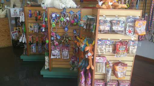 Pet Supply Store «Pets Food Grooming & Supplies», reviews and photos, 374 South St, Newark, NJ 07105, USA