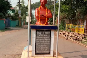 Swami Vivekananda Statue image